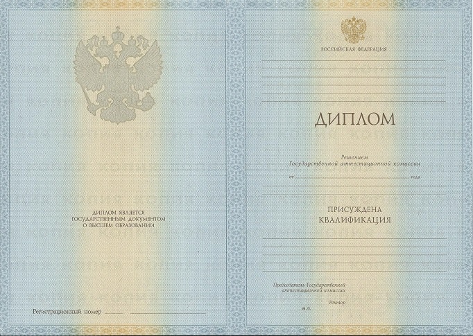 Диплом библиотекаря 2009-2010 года
